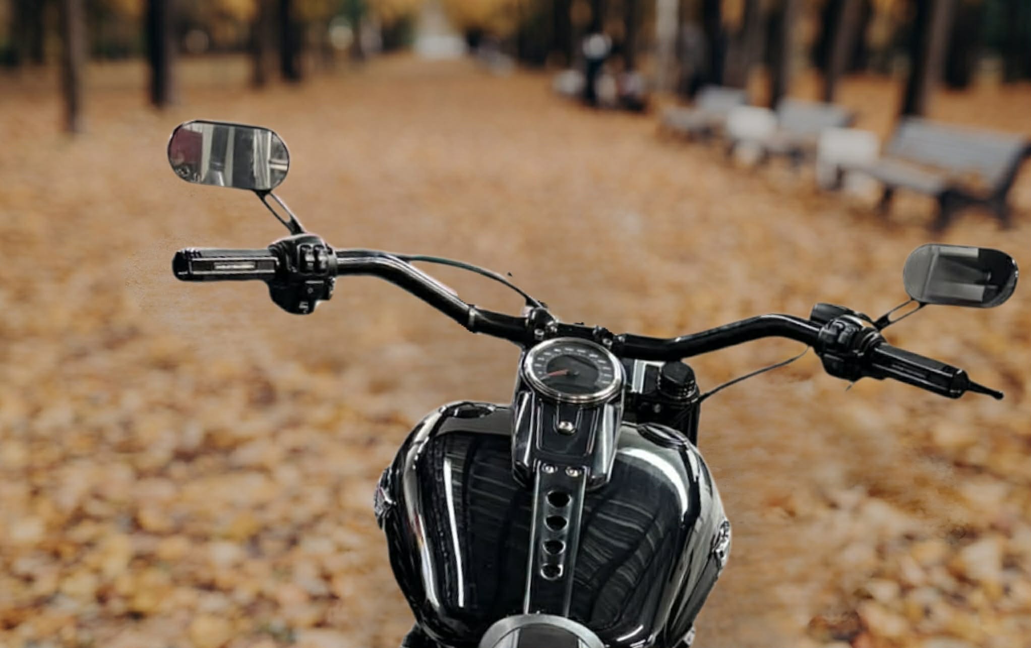 Nærbilde av motorsykkel sett forfra i en park med høstløv på bakken